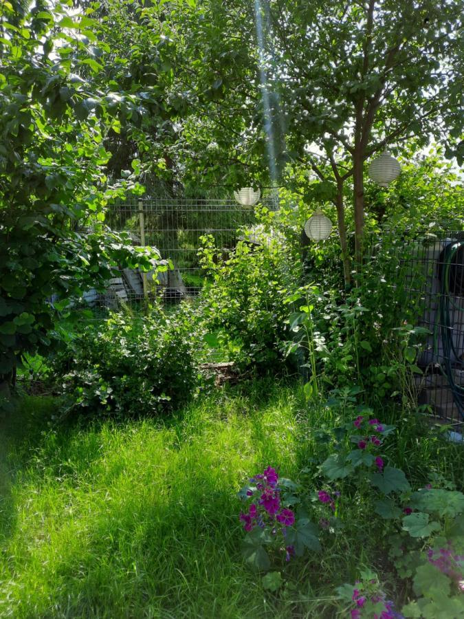 Gästewohnung am Thümmlitzwald Grimma Exterior foto