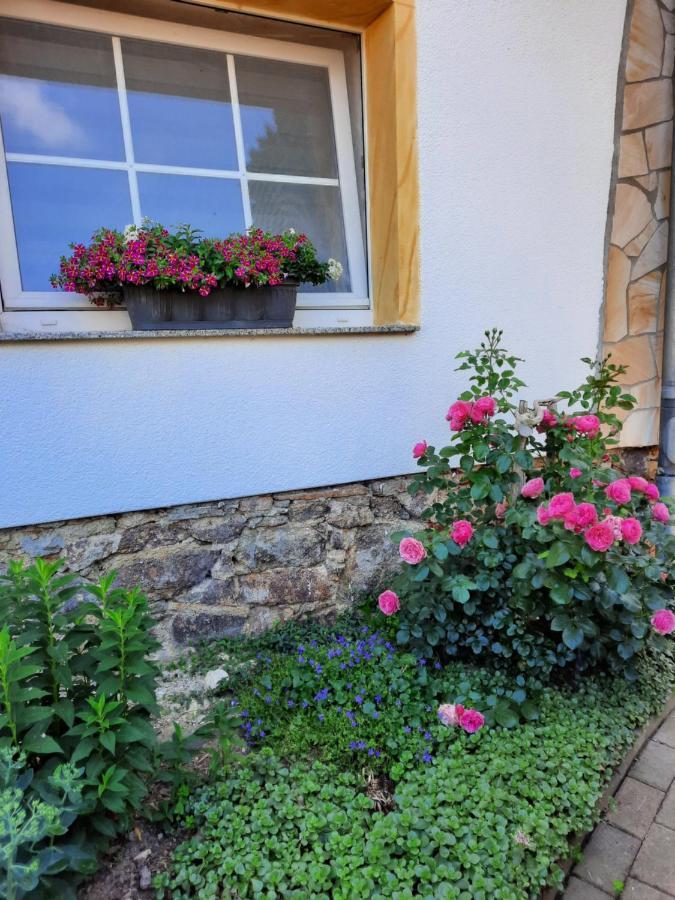 Gästewohnung am Thümmlitzwald Grimma Exterior foto