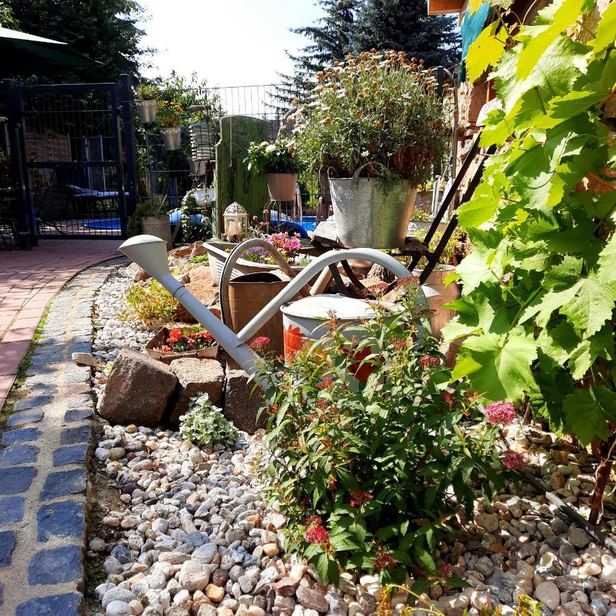 Gästewohnung am Thümmlitzwald Grimma Exterior foto